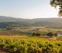 Sonoma Valley landscapes. // © 2011 Sonoma Valley Visitors Bureau/ kunde